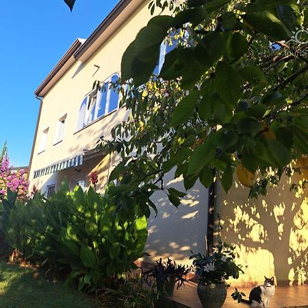 Bozica House With Apartments Murine Dış mekan fotoğraf