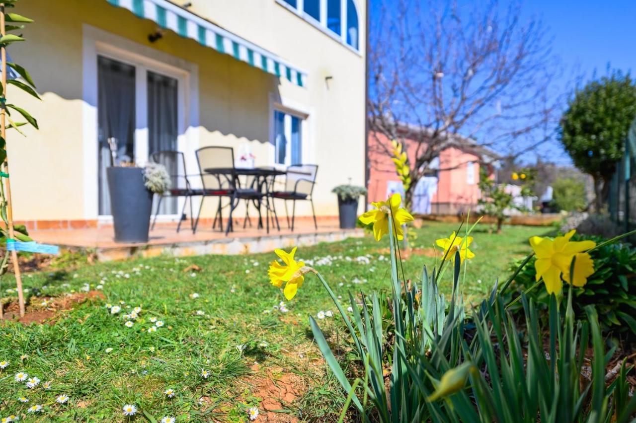 Bozica House With Apartments Murine Dış mekan fotoğraf