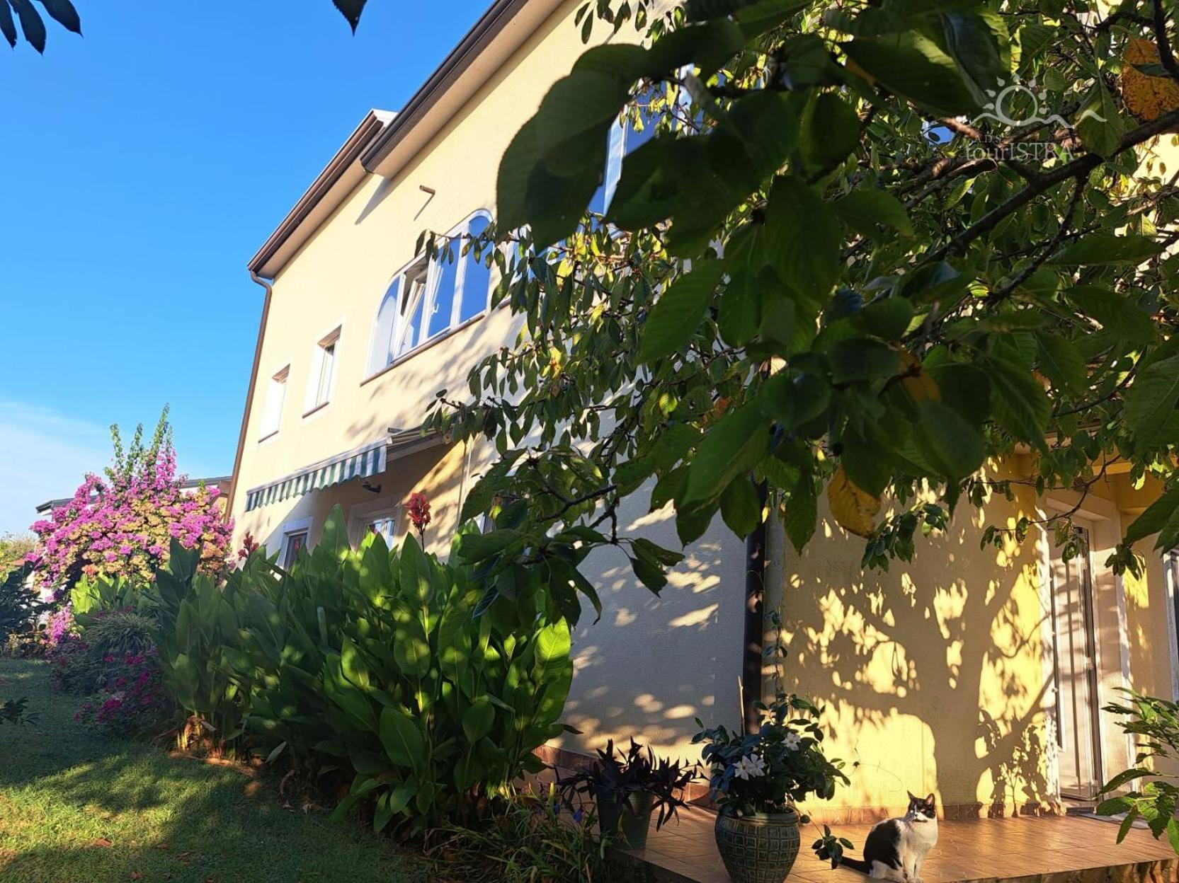 Bozica House With Apartments Murine Dış mekan fotoğraf